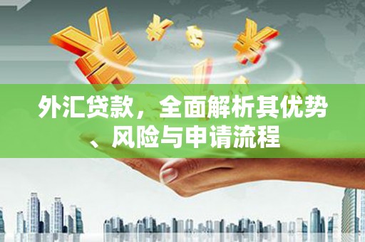 鹿寨外汇贷款，全面解析其优势、风险与申请流程