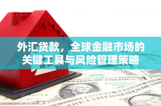 鹿寨外汇贷款，全球金融市场的关键工具与风险管理策略