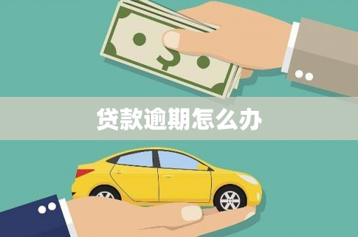 鹿寨贷款逾期怎么办