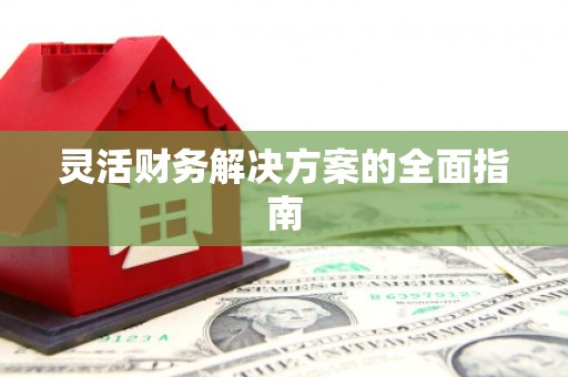鹿寨灵活财务解决方案的全面指南
