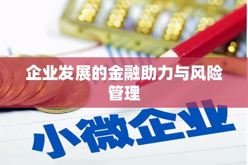 鹿寨企业发展的金融助力与风险管理