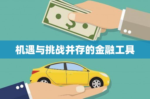 鹿寨机遇与挑战并存的金融工具