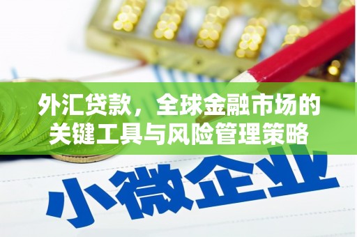 鹿寨外汇贷款，全球金融市场的关键工具与风险管理策略