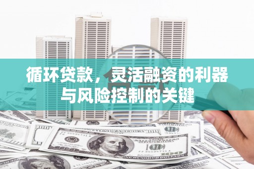 鹿寨循环贷款，灵活融资的利器与风险控制的关键
