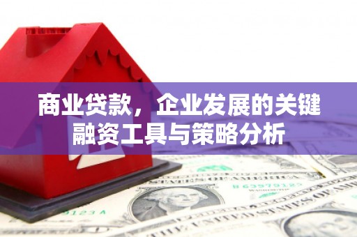 鹿寨商业贷款，企业发展的关键融资工具与策略分析