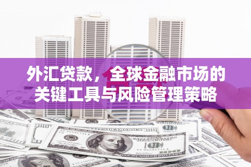 鹿寨外汇贷款，全球金融市场的关键工具与风险管理策略