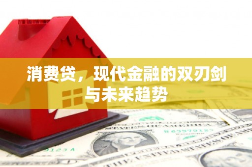 鹿寨消费贷，现代金融的双刃剑与未来趋势