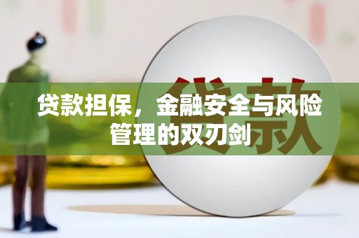 鹿寨贷款担保，金融安全与风险管理的双刃剑