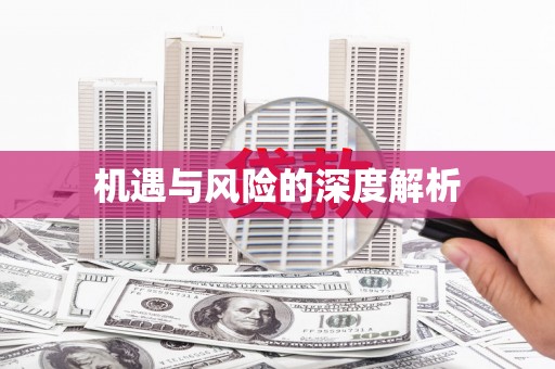 鹿寨机遇与风险的深度解析