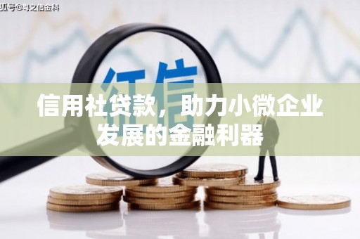 鹿寨信用社贷款，助力小微企业发展的金融利器