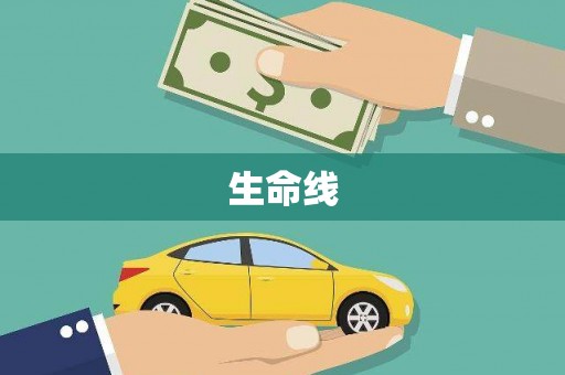 鹿寨生命线