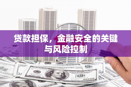 鹿寨贷款担保，金融安全的关键与风险控制