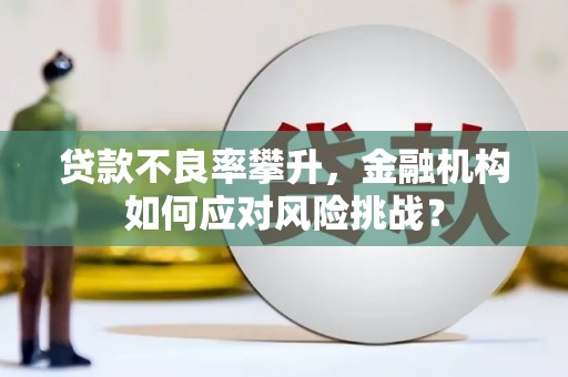 鹿寨贷款不良率攀升，金融机构如何应对风险挑战？