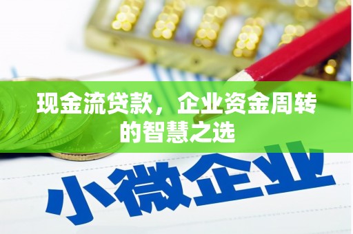 鹿寨现金流贷款，企业资金周转的智慧之选
