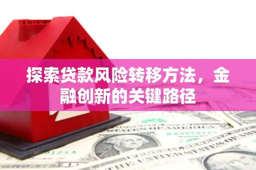 鹿寨探索贷款风险转移方法，金融创新的关键路径