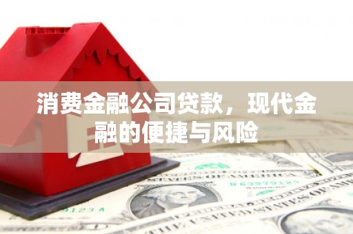 鹿寨消费金融公司贷款，现代金融的便捷与风险