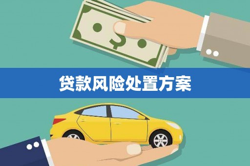 鹿寨贷款风险处置方案