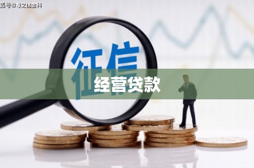 鹿寨经营贷款